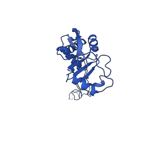 42576_8uu9_E_v1-1
Cryo-EM structure of the ratcheted Listeria innocua 70S ribosome (head-swiveled) in complex with HflXr and pe/E-tRNA (structure II-D)