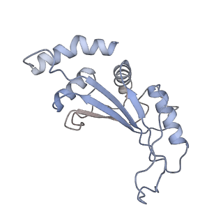 42576_8uu9_F_v1-1
Cryo-EM structure of the ratcheted Listeria innocua 70S ribosome (head-swiveled) in complex with HflXr and pe/E-tRNA (structure II-D)