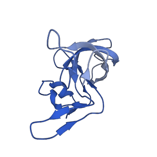 42576_8uu9_M_v1-1
Cryo-EM structure of the ratcheted Listeria innocua 70S ribosome (head-swiveled) in complex with HflXr and pe/E-tRNA (structure II-D)