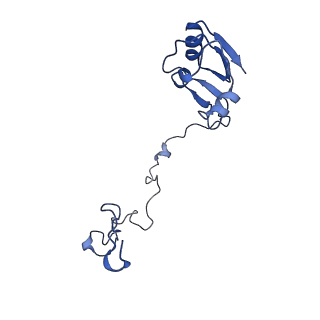 42576_8uu9_N_v1-1
Cryo-EM structure of the ratcheted Listeria innocua 70S ribosome (head-swiveled) in complex with HflXr and pe/E-tRNA (structure II-D)