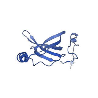 42576_8uu9_R_v1-1
Cryo-EM structure of the ratcheted Listeria innocua 70S ribosome (head-swiveled) in complex with HflXr and pe/E-tRNA (structure II-D)