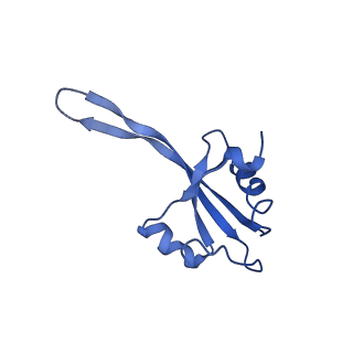 42576_8uu9_V_v1-1
Cryo-EM structure of the ratcheted Listeria innocua 70S ribosome (head-swiveled) in complex with HflXr and pe/E-tRNA (structure II-D)