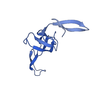 42576_8uu9_W_v1-1
Cryo-EM structure of the ratcheted Listeria innocua 70S ribosome (head-swiveled) in complex with HflXr and pe/E-tRNA (structure II-D)