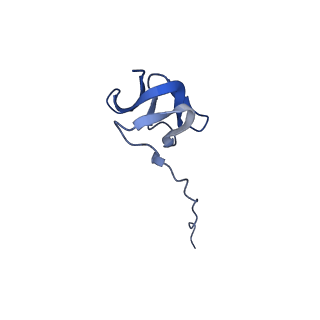 42576_8uu9_Y_v1-1
Cryo-EM structure of the ratcheted Listeria innocua 70S ribosome (head-swiveled) in complex with HflXr and pe/E-tRNA (structure II-D)