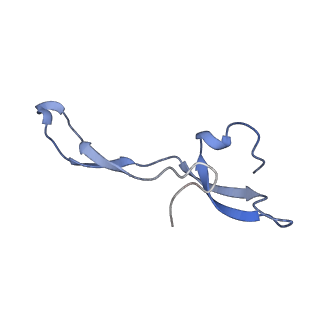 42576_8uu9_Z_v1-1
Cryo-EM structure of the ratcheted Listeria innocua 70S ribosome (head-swiveled) in complex with HflXr and pe/E-tRNA (structure II-D)