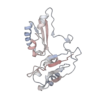 42576_8uu9_c_v1-1
Cryo-EM structure of the ratcheted Listeria innocua 70S ribosome (head-swiveled) in complex with HflXr and pe/E-tRNA (structure II-D)