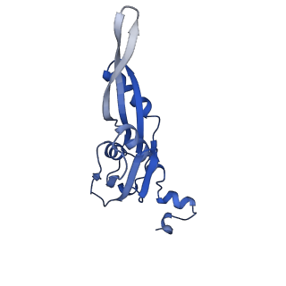 42576_8uu9_e_v1-1
Cryo-EM structure of the ratcheted Listeria innocua 70S ribosome (head-swiveled) in complex with HflXr and pe/E-tRNA (structure II-D)