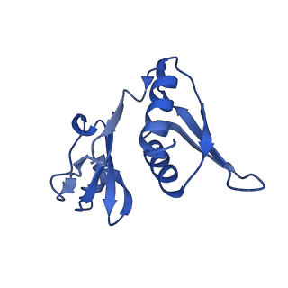 42576_8uu9_h_v1-1
Cryo-EM structure of the ratcheted Listeria innocua 70S ribosome (head-swiveled) in complex with HflXr and pe/E-tRNA (structure II-D)