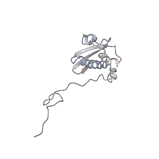 42576_8uu9_i_v1-1
Cryo-EM structure of the ratcheted Listeria innocua 70S ribosome (head-swiveled) in complex with HflXr and pe/E-tRNA (structure II-D)