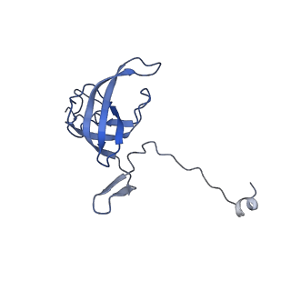 42576_8uu9_l_v1-1
Cryo-EM structure of the ratcheted Listeria innocua 70S ribosome (head-swiveled) in complex with HflXr and pe/E-tRNA (structure II-D)