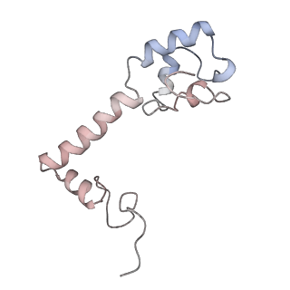 42576_8uu9_m_v1-1
Cryo-EM structure of the ratcheted Listeria innocua 70S ribosome (head-swiveled) in complex with HflXr and pe/E-tRNA (structure II-D)