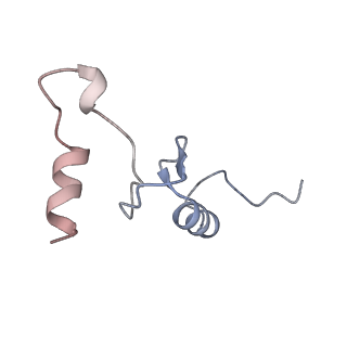 42576_8uu9_n_v1-1
Cryo-EM structure of the ratcheted Listeria innocua 70S ribosome (head-swiveled) in complex with HflXr and pe/E-tRNA (structure II-D)