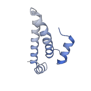 42576_8uu9_o_v1-1
Cryo-EM structure of the ratcheted Listeria innocua 70S ribosome (head-swiveled) in complex with HflXr and pe/E-tRNA (structure II-D)