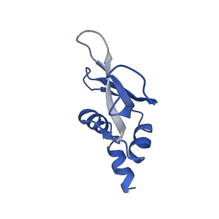 42576_8uu9_p_v1-1
Cryo-EM structure of the ratcheted Listeria innocua 70S ribosome (head-swiveled) in complex with HflXr and pe/E-tRNA (structure II-D)