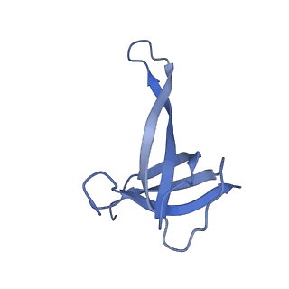 42576_8uu9_q_v1-1
Cryo-EM structure of the ratcheted Listeria innocua 70S ribosome (head-swiveled) in complex with HflXr and pe/E-tRNA (structure II-D)