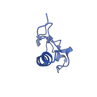 42576_8uu9_r_v1-1
Cryo-EM structure of the ratcheted Listeria innocua 70S ribosome (head-swiveled) in complex with HflXr and pe/E-tRNA (structure II-D)