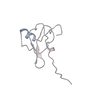 42576_8uu9_s_v1-1
Cryo-EM structure of the ratcheted Listeria innocua 70S ribosome (head-swiveled) in complex with HflXr and pe/E-tRNA (structure II-D)