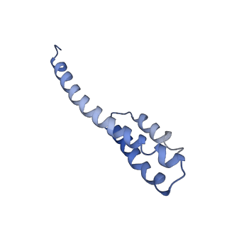 42576_8uu9_t_v1-1
Cryo-EM structure of the ratcheted Listeria innocua 70S ribosome (head-swiveled) in complex with HflXr and pe/E-tRNA (structure II-D)