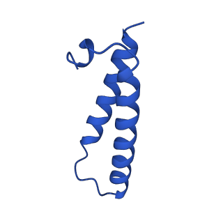 42577_8uua_1_v1-1
Cryo-EM structure of the Listeria innocua 50S ribosomal subunit in complex with HflXr (structure III)