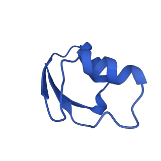 42577_8uua_2_v1-1
Cryo-EM structure of the Listeria innocua 50S ribosomal subunit in complex with HflXr (structure III)