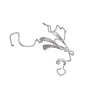 42577_8uua_3_v1-1
Cryo-EM structure of the Listeria innocua 50S ribosomal subunit in complex with HflXr (structure III)