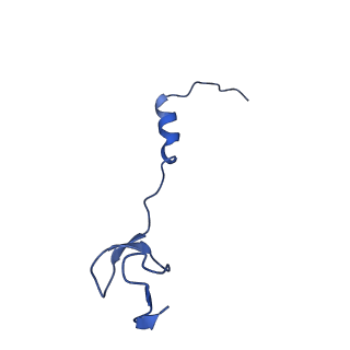 42577_8uua_4_v1-1
Cryo-EM structure of the Listeria innocua 50S ribosomal subunit in complex with HflXr (structure III)