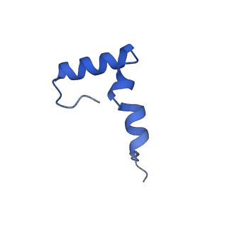 42577_8uua_6_v1-1
Cryo-EM structure of the Listeria innocua 50S ribosomal subunit in complex with HflXr (structure III)