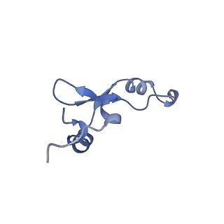 42577_8uua_7_v1-1
Cryo-EM structure of the Listeria innocua 50S ribosomal subunit in complex with HflXr (structure III)