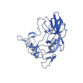 42577_8uua_C_v1-1
Cryo-EM structure of the Listeria innocua 50S ribosomal subunit in complex with HflXr (structure III)