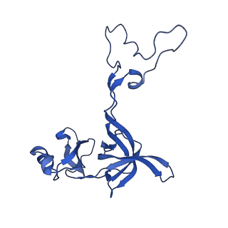 42577_8uua_D_v1-1
Cryo-EM structure of the Listeria innocua 50S ribosomal subunit in complex with HflXr (structure III)