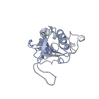 42577_8uua_F_v1-1
Cryo-EM structure of the Listeria innocua 50S ribosomal subunit in complex with HflXr (structure III)