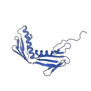 42577_8uua_G_v1-1
Cryo-EM structure of the Listeria innocua 50S ribosomal subunit in complex with HflXr (structure III)