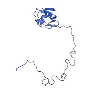 42577_8uua_N_v1-1
Cryo-EM structure of the Listeria innocua 50S ribosomal subunit in complex with HflXr (structure III)