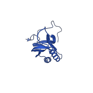 42577_8uua_O_v1-1
Cryo-EM structure of the Listeria innocua 50S ribosomal subunit in complex with HflXr (structure III)