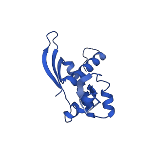 42577_8uua_P_v1-1
Cryo-EM structure of the Listeria innocua 50S ribosomal subunit in complex with HflXr (structure III)