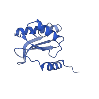 42577_8uua_Q_v1-1
Cryo-EM structure of the Listeria innocua 50S ribosomal subunit in complex with HflXr (structure III)