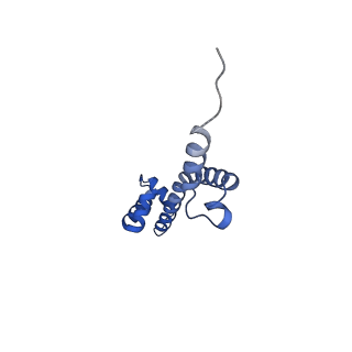 42577_8uua_S_v1-1
Cryo-EM structure of the Listeria innocua 50S ribosomal subunit in complex with HflXr (structure III)