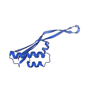 42577_8uua_U_v1-1
Cryo-EM structure of the Listeria innocua 50S ribosomal subunit in complex with HflXr (structure III)