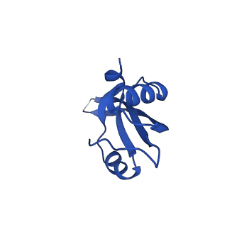 42577_8uua_V_v1-1
Cryo-EM structure of the Listeria innocua 50S ribosomal subunit in complex with HflXr (structure III)