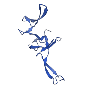 42577_8uua_W_v1-1
Cryo-EM structure of the Listeria innocua 50S ribosomal subunit in complex with HflXr (structure III)