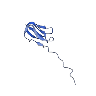 42577_8uua_Y_v1-1
Cryo-EM structure of the Listeria innocua 50S ribosomal subunit in complex with HflXr (structure III)