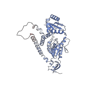 42577_8uua_v_v1-1
Cryo-EM structure of the Listeria innocua 50S ribosomal subunit in complex with HflXr (structure III)