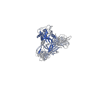 42590_8uum_A_v1-0
Prototypic SARS-CoV-2 spike (containing K417) in the open conformation