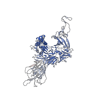 42591_8uun_A_v1-0
Prototypic SARS-CoV-2 spike (containing V417) in the closed conformation
