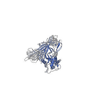 42592_8uuo_A_v1-0
Prototypic SARS-CoV-2 spike (containing V417) in the open conformation
