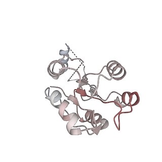 42602_8uuz_A_v1-0
Campylobacter jejuni CosR apo form