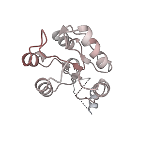 42602_8uuz_B_v1-0
Campylobacter jejuni CosR apo form
