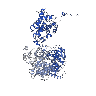 20904_6uv5_A_v1-2
Structure of human ATP citrate lyase in complex with acetyl-CoA and oxaloacetate