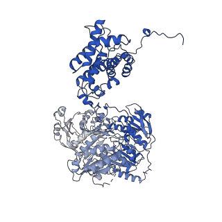 20904_6uv5_A_v1-3
Structure of human ATP citrate lyase in complex with acetyl-CoA and oxaloacetate