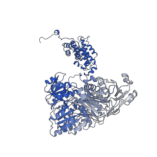 20904_6uv5_B_v1-3
Structure of human ATP citrate lyase in complex with acetyl-CoA and oxaloacetate